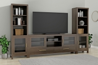 pierre 2 modular entertainment center